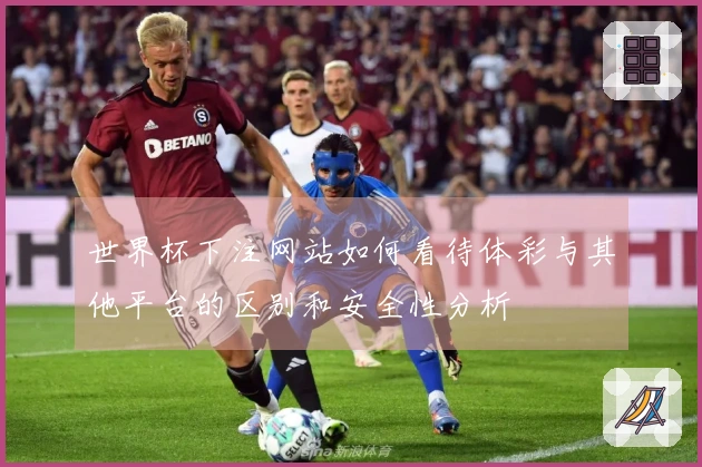 世界杯下注网站如何看待体彩与其他平台的区别和安全性分析