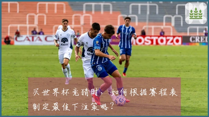 买世界杯竞猜时，如何根据赛程表制定最佳下注策略？
