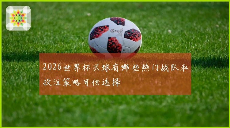 2026世界杯买球有哪些热门战队和投注策略可供选择