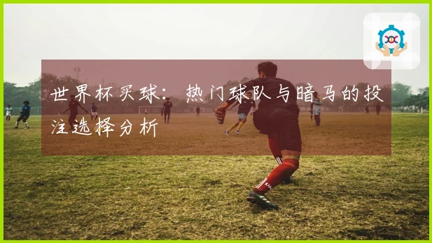 世界杯买球：热门球队与暗马的投注选择分析