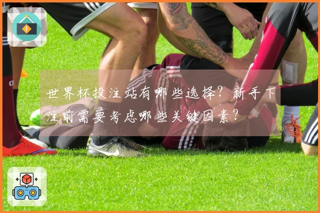 世界杯投注站有哪些选择？新手下注前需要考虑哪些关键因素？
