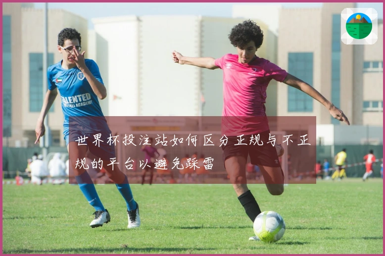 世界杯投注站如何区分正规与不正规的平台以避免踩雷