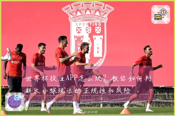 世界杯投注APP怎么玩？教你如何判断大小球玩法的正规性和风险