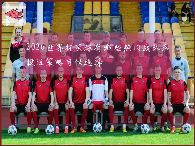 2026世界杯买球有哪些热门战队和投注策略可供选择
