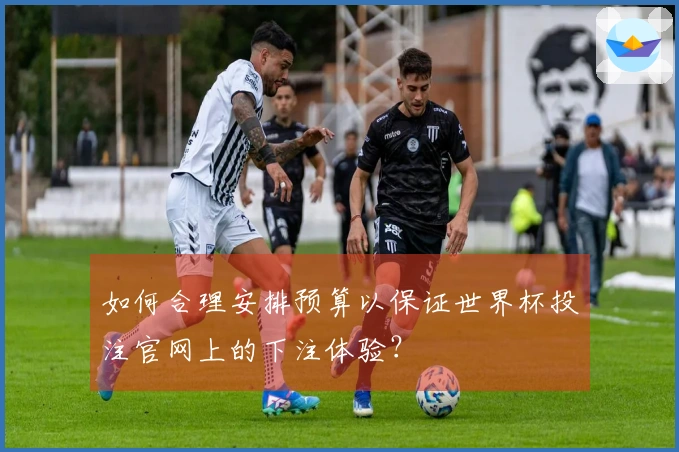 如何合理安排预算以保证世界杯投注官网上的下注体验？