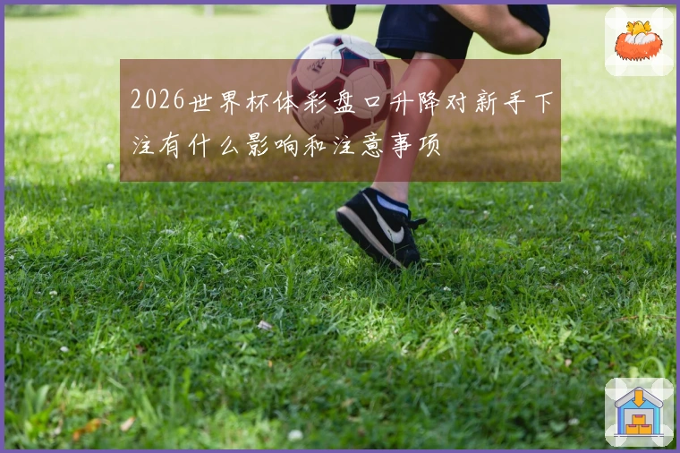 2026世界杯体彩盘口升降对新手下注有什么影响和注意事项