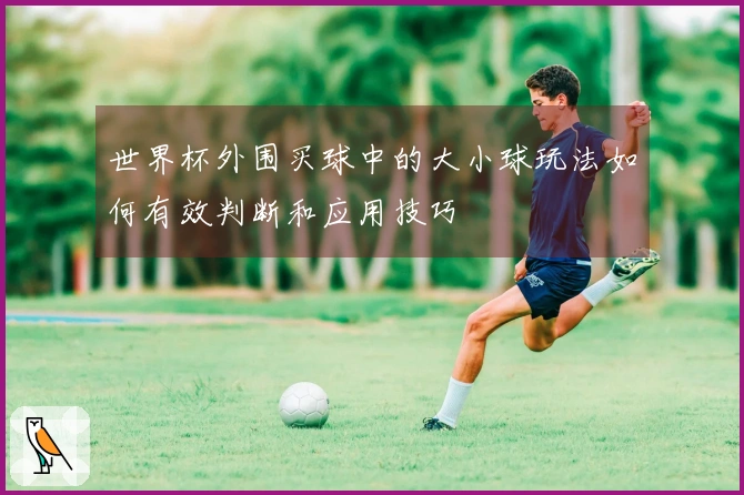 世界杯外围买球中的大小球玩法如何有效判断和应用技巧