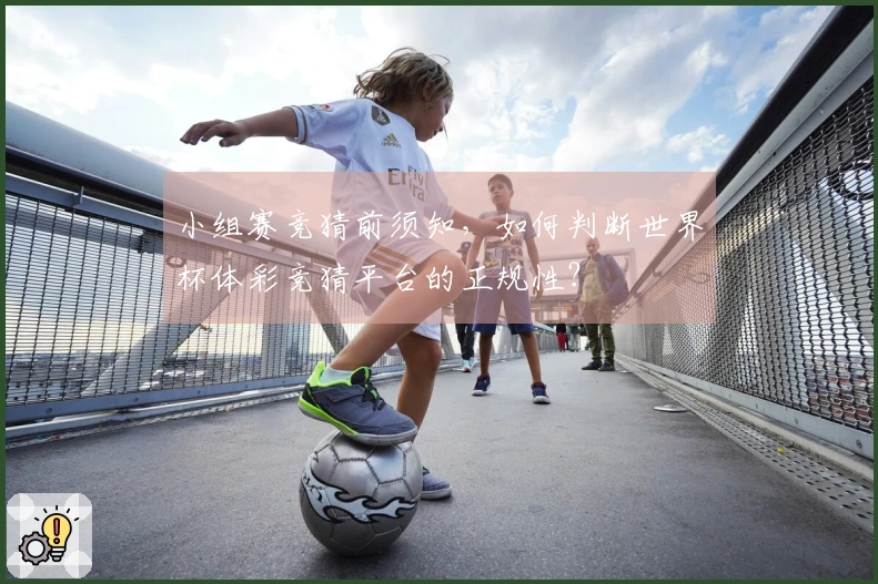 小组赛竞猜前须知，如何判断世界杯体彩竞猜平台的正规性？