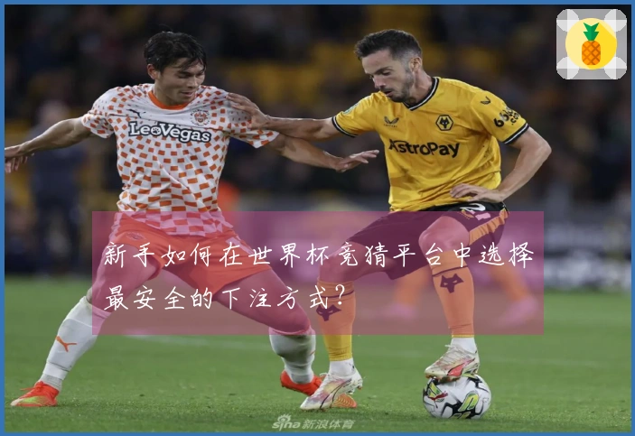 新手如何在世界杯竞猜平台中选择最安全的下注方式？