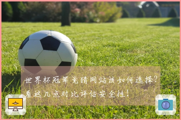 世界杯冠军竞猜网站该如何选择？看这几点对比评估安全性！