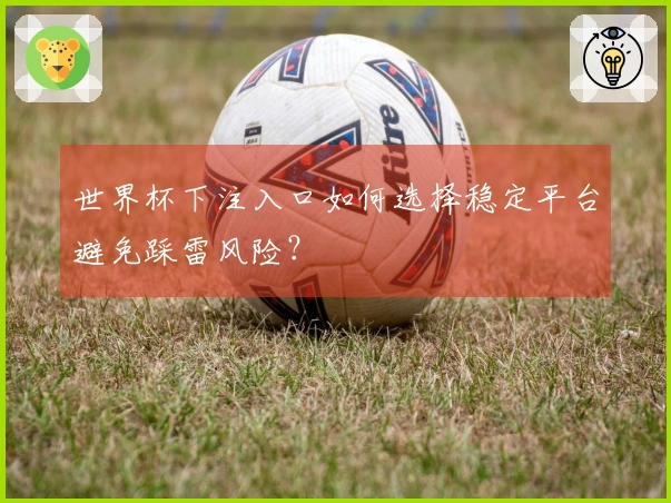 世界杯下注入口如何选择稳定平台避免踩雷风险？