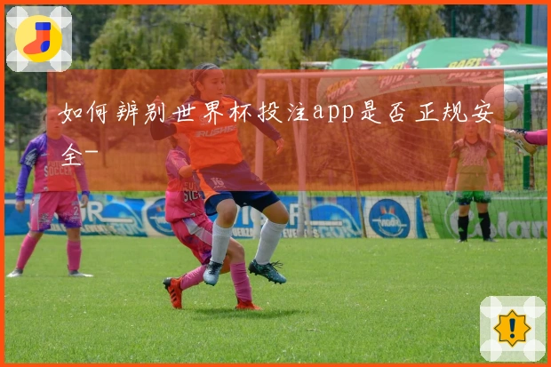 如何辨别世界杯投注app是否正规安全-