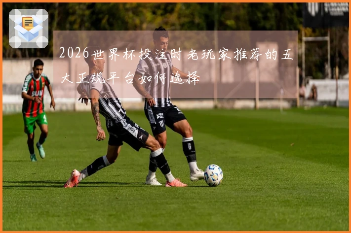 2026世界杯投注时老玩家推荐的五大正规平台如何选择