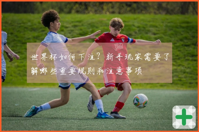 世界杯如何下注？新手玩家需要了解哪些重要规则和注意事项
