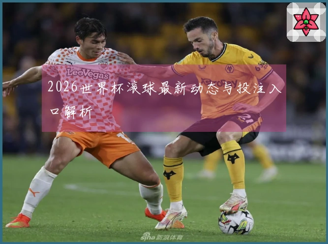 2026世界杯滚球最新动态与投注入口解析
