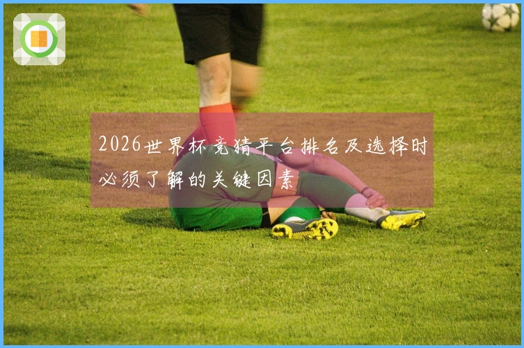 2026世界杯竞猜平台排名及选择时必须了解的关键因素