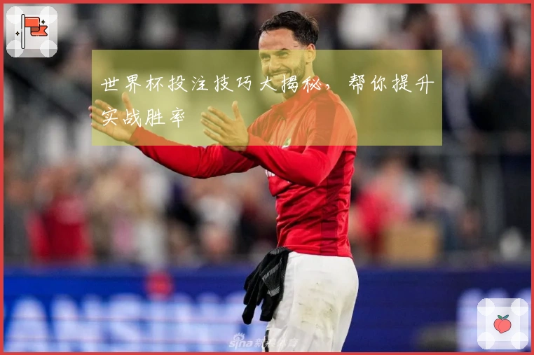 世界杯投注技巧大揭秘，帮你提升实战胜率