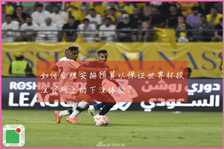 如何合理安排预算以保证世界杯投注官网上的下注体验？