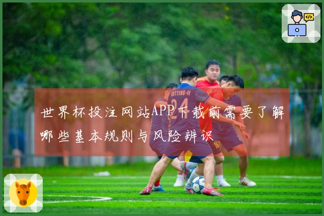 世界杯投注网站APP下载前需要了解哪些基本规则与风险辨识