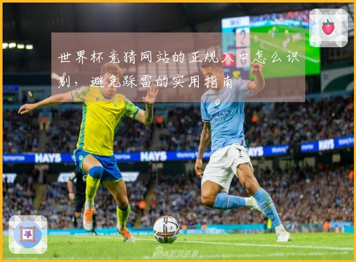 世界杯竞猜网站的正规入口怎么识别，避免踩雷的实用指南