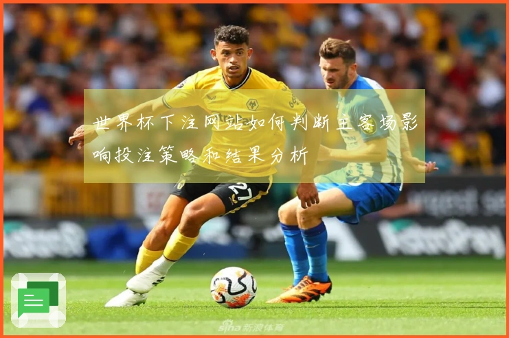 世界杯下注网站如何判断主客场影响投注策略和结果分析