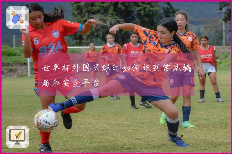 世界杯外围买球时如何识别常见骗局和安全平台
