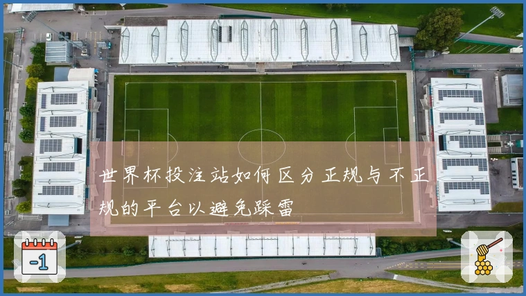 世界杯投注站如何区分正规与不正规的平台以避免踩雷
