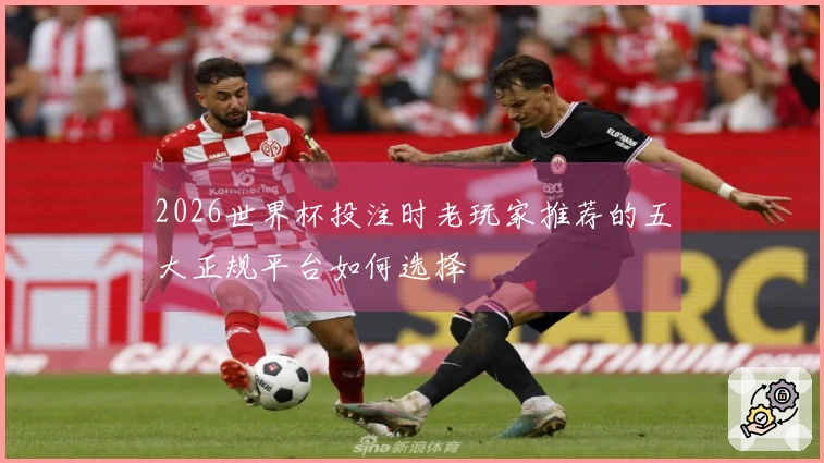 2026世界杯投注时老玩家推荐的五大正规平台如何选择