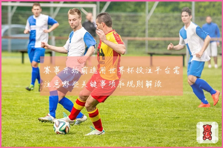 赛事开始前选用世界杯投注平台需注意哪些关键事项和规则解读