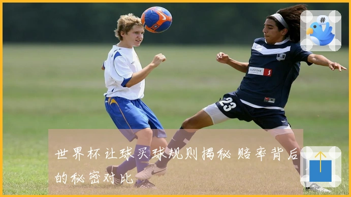世界杯让球买球规则揭秘 赔率背后的秘密对比