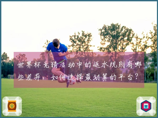 世界杯竞猜活动中的返水规则有哪些差异，如何选择最划算的平台？