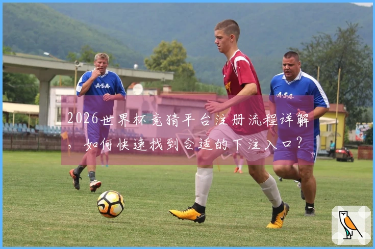 2026世界杯竞猜平台注册流程详解，如何快速找到合适的下注入口？