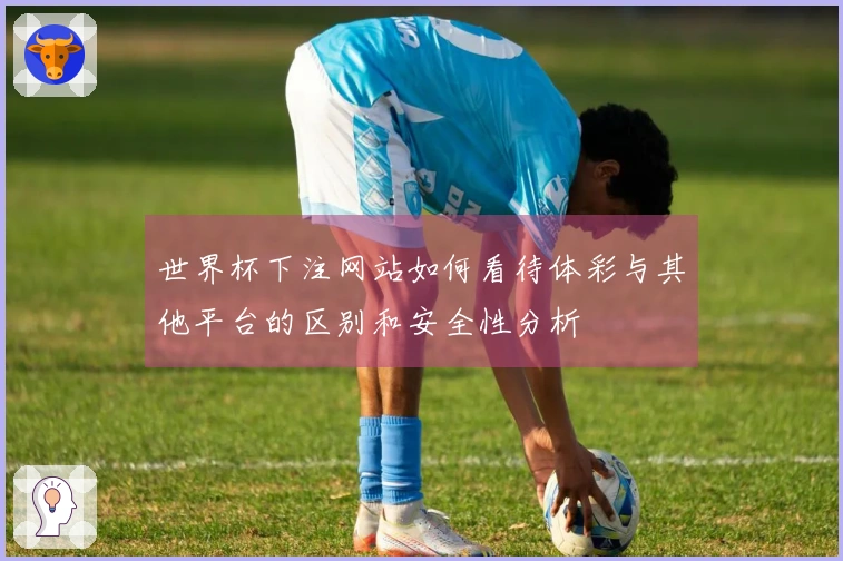世界杯下注网站如何看待体彩与其他平台的区别和安全性分析