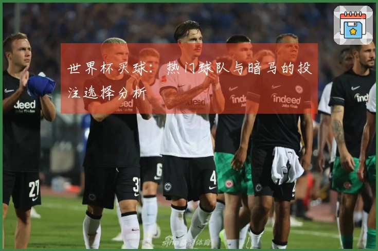 世界杯买球：热门球队与暗马的投注选择分析