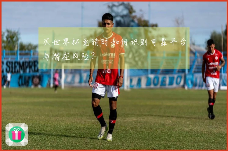 买世界杯竞猜时如何识别可靠平台与潜在风险？